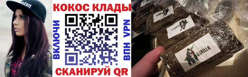 где найти   Нестеров  КОКАИН Fish Scale 
