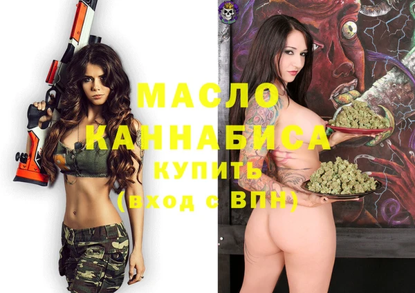 амф Верхний Тагил
