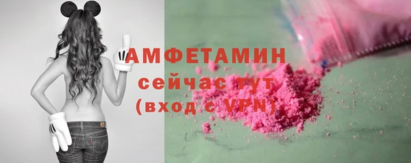 амф Верхний Тагил