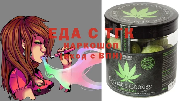 амф Верхний Тагил