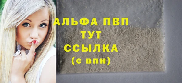 амф Верхний Тагил