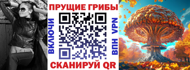 цены   Нестеров  Галлюциногенные грибы Psilocybine cubensis 